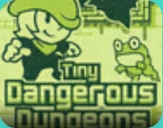Tiny Dangerous Dungeons