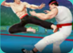 Karate Fighter