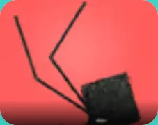 Daddy Long Legs