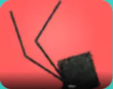 Daddy Long Legs